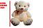 URSO 2665 - Imagem 1