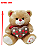 URSO 6988 - Imagem 1