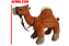 CAMELO 2833 - Imagem 1