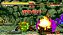 Samurai Shodown NeoGeo Collection PS4 - Imagem 4