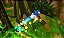 Sonic Boom Shattered Crystal 3DS - Imagem 2