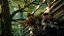 Predator: Hunting Grounds PS4 - Imagem 2