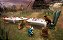 Alice in Wonderland WII (USADO) - Imagem 3