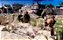 Call of Duty: Modern Warfare - Xbox One (USADO) - Imagem 2