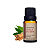 OLEO ESSENCIAL 10ML CANELA DA CHINA VIA AROMA - Imagem 3