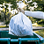 Pacote saco lixo BRANCO P5 100L 100un - Imagem 6