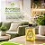 Difusor de Ambientes Giorno Casa Alecrim 250ml - Imagem 4