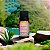 Oleo Essencial Capim Cidreira Via Aroma 10ml - Imagem 6