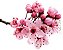 ESSENCIA FLOR DE CEREJEIRA 100ML - Imagem 2