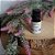 ESSENCIA LAVANDA COALA 10ML - Imagem 2