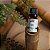 ESSENCIA BAMBU COALA 10ML - Imagem 5