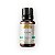 ESSENCIA ALECRIM COALA 10ML - Imagem 1