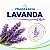 Desinfetante Lavanda Gopabo 5L - Imagem 2