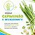 Limpador Perfumado Concentrado Via Aroma Capim Limão 120ml - Imagem 2