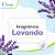 Limpador Perfumado Lavanda 1L Casa Limpa - Imagem 2