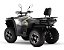 Quadriciclo Fox 325 MXF 4x4 - Imagem 4
