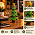 Árvore de Natal Decorativa 3D – 15 cm com Estrela Dourada - Imagem 2