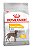 Ração Royal Canin Maxi Dermacomfort para Cães Adultos ou Idosos de Raças Grandes - 10,1kg - Imagem 1