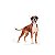 Ração Royal Canin para Cães Adultos da Raça Boxer - 12kg - Imagem 3