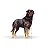 Ração Royal Canin para Cães Adultos da Raça Rottweiler - 12kg - Imagem 3