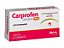 Anti-inflamatório Carprofen com 14 comprimidos - 25mg, 75mg ou 100mg - Imagem 3
