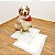 Tapete Higiênico Dog's Care The New York Dogs 80x60cm - 30 unidades - Imagem 2