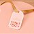 TAGS TULIPAS PCT/20UN JANGO - Imagem 3