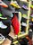 Umbro Ultimate Jr - Imagem 2