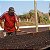 Fazenda Comtu - Catuaí Vermelho - Imagem 8