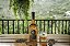 Licor Diego Zamora 43 Baristo - 700ml - Imagem 4