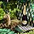 Champagne Perrier-Jouët Grand Brut - 750ml - Imagem 2