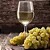 Vinho Argentino Catalpa Chardonnay -  750ML - Imagem 3