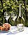 PERRIER JOUET BLANC DE BLANCS - 750ML - Imagem 4