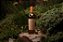 WHISKY MACALLAN THE HARMONY COLLECTION AMBER MEADOW - 700ML - Imagem 2