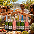 Kit 6un Espumantes Casa Perini Misto 750ml - Imagem 4