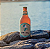 Cerveja Praya Pack 12 Und - 600ml - Imagem 4