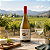 Vinho Branco Aresti Cabina 56 Reserva Sauvignon Blanc 750ml - Imagem 3