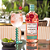 Gin Tanqueray Bossa Nova 700ml - Imagem 2