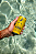 Johnnie Walker Blonde & Lemonade 24x269ml - Imagem 2
