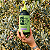 Azeite De Oliva Extra Virgem Para Finalizar Zétona 500ml - Imagem 4