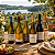Kit Seleção Mundial Chardonnay – 10 Rótulos Especiais - Imagem 2