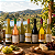Kit Mundo Chardonnay – 6 Vinhos Selecionados - Imagem 2