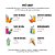 Energético Red Bull Energy Drink Melancia Edition - 250ml (Pack 4 Unid) - Imagem 3