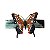 Presilha Butterfly Color - Imagem 3