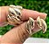 Conjunto Anel e Brinco Dourado - Imagem 1