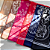 Lenço Bandana - Imagem 4