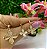 Conjunto Colar e Brinco Flor Madreperola - Imagem 1