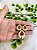Conjunto Oval Cravejado - Imagem 1