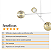 Lustre Lirio com 4 Globos Esfera de Vidro Âmbar - BRANCO - Imagem 6