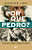 Por que Pedro? Por que o Senhor escolheu Pedro para ser o líder dos 12 apóstolos e a pedra em que fundaria sua Igreja? - Imagem 1